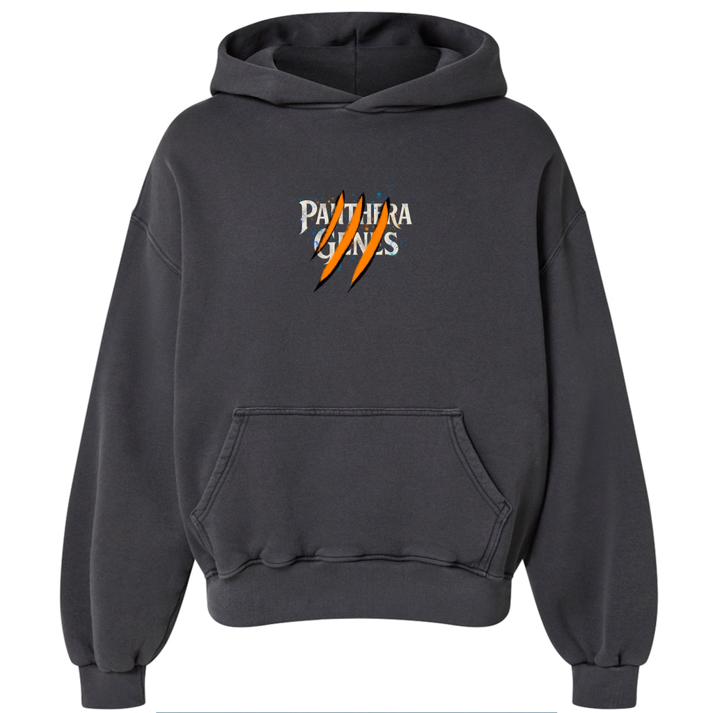 Sweatshirt with Hoodie