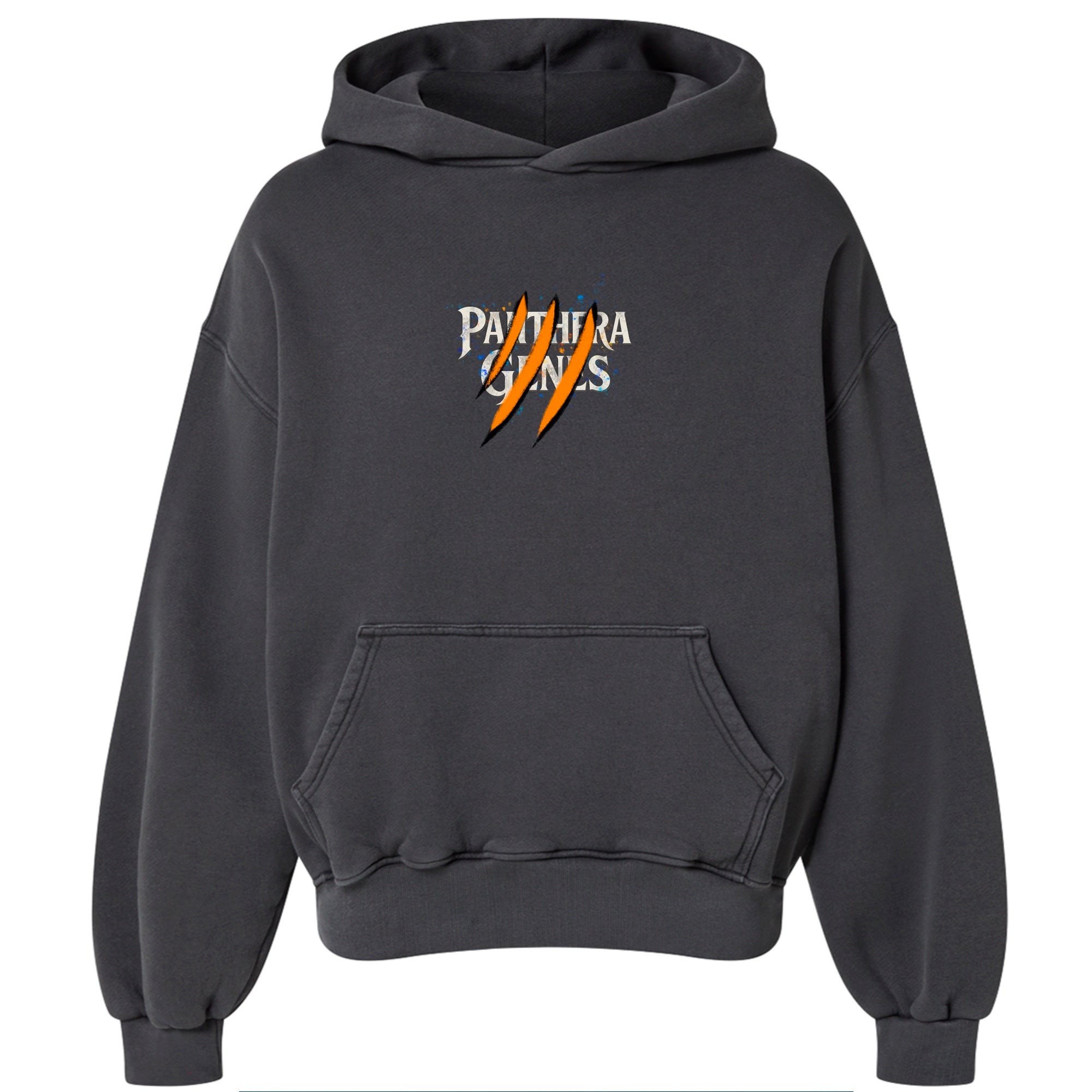 Sweatshirt with Hoodie